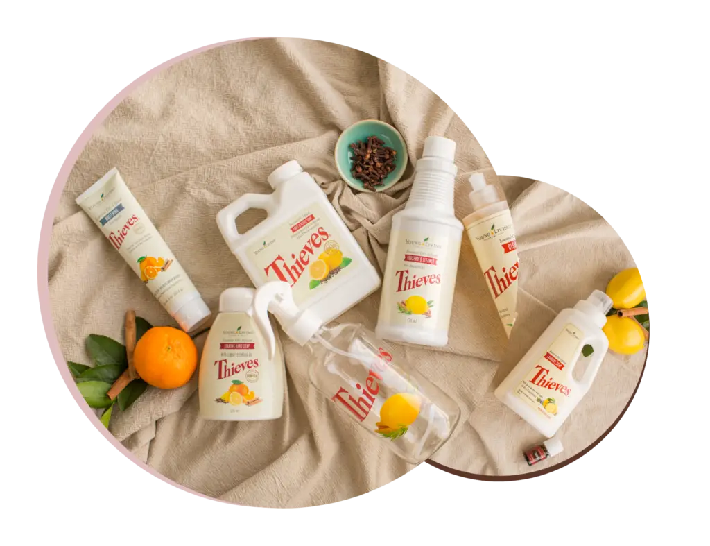 netoksična sredstva za čišćenje